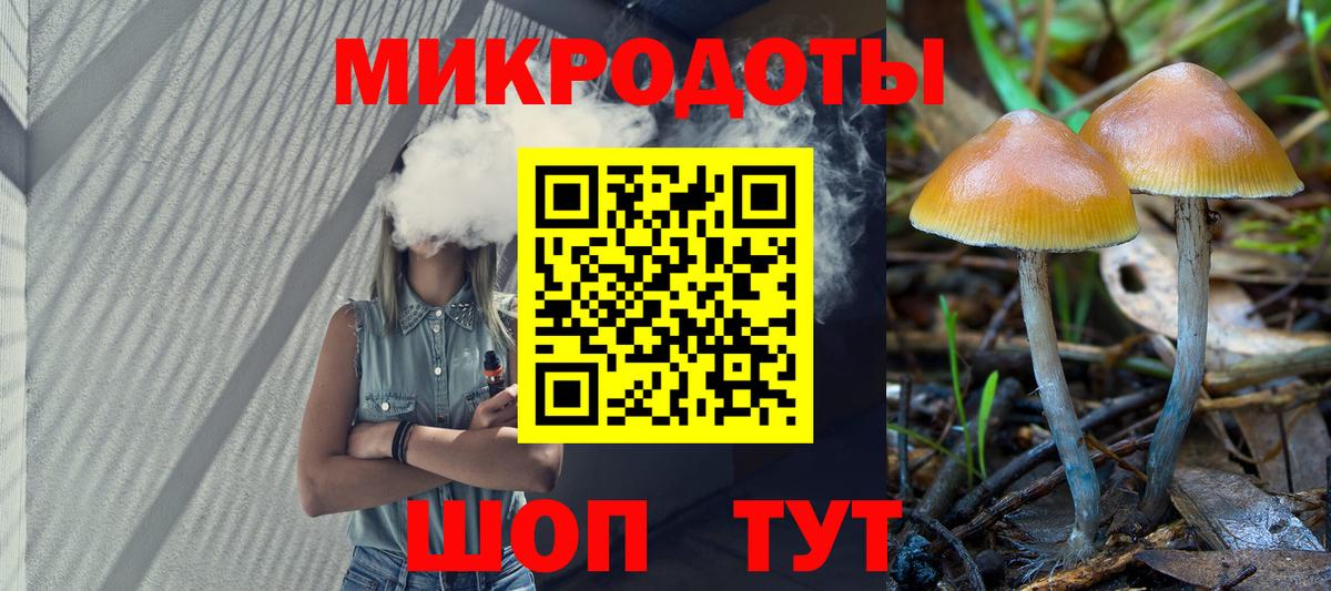 Сланцы  где найти наркотики  Вход с VPN  Галлюциногенные грибы мухоморы 